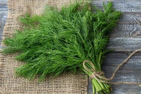 تصویر 1 از خرید سبزی شوید خشک کیلویی قم با بهترین کیفیت بازار